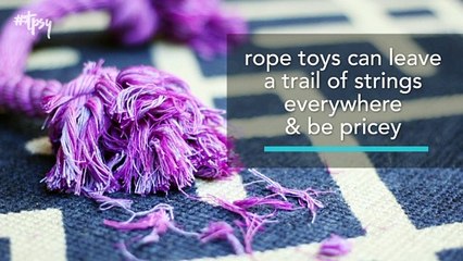 Turn an Old Tee into a Toy Your Dog Will Love