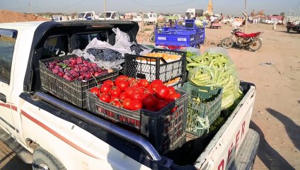 كوفيد-19 يعطي دفعة إيجابية للمزارعين العراقيين