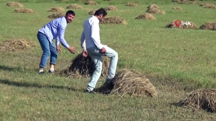 Yaşanan selden dolayı 3 bin bağ ot zarar gördü
