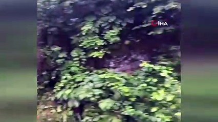 - Giresun’da etkili olan yağış heyelanlara neden oldu