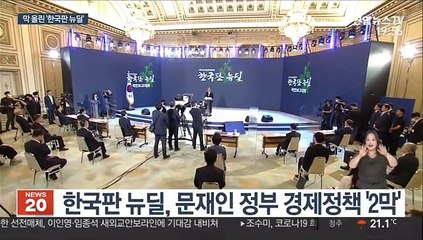 대통령이 진두지휘…한국판 뉴딜 범정부 '총력전'