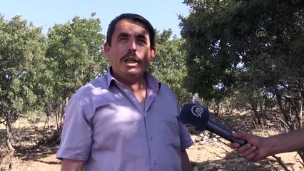 Kurban Bayramı öncesi 'dolandırıcı ve sahte para' uyarısı - KARAMAN