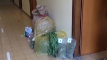 Bolotana (NU) - Nasconde 10 chili di marijuana in casa, arrestato (24.07.20)