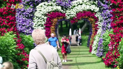 Two Million Flowers Used to Turn a Lithuanian Garden into a Magical Fairyland