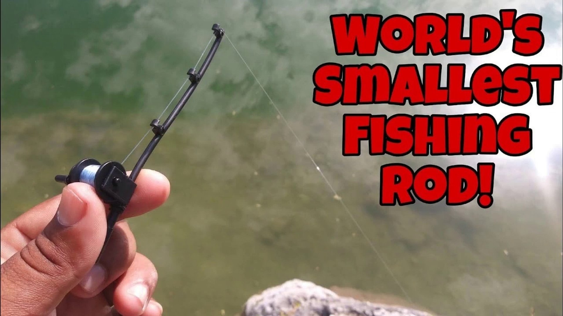 World's Smallest Fishing Rod Catches BIG FISH! - video Dailymotion
