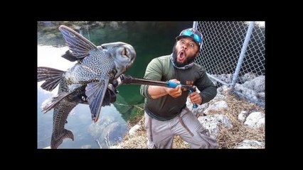 Trash Picker Catches Weird Cat Fish!!! HELP me Identify!