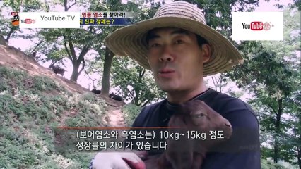 ความลับแห่งเอเชีย ชุด Korea Hunter ตอน คนเลี้ยงแพะ