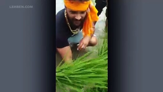 अपने खेत में धान की रोपाई करने पहुंचे खेसारी लाल यादव