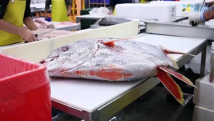 Fast Extreme Skill Cutting Giant Fish. Skill Cutting Big Tuna Fastest