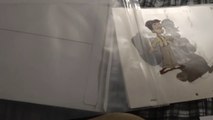 Open The Box - Animation Legends Back to the Future animated series cel haul! 07/12/2020