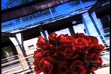 How Its Made - 133 Fresh Cut Flowers