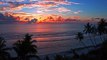 Bright Orange Sunset On The Beach || Beauty Of Sunset || Beauty Of Nature Around The World