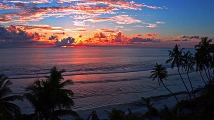 Bright Orange Sunset On The Beach || Beauty Of Sunset || Beauty Of Nature Around The World