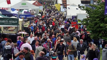Great Yorkshire Show Two Years Compared