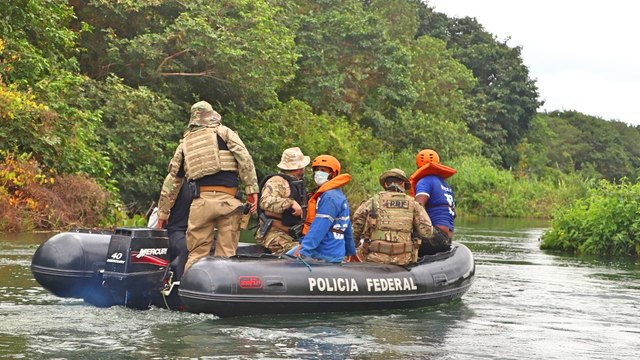 POLICIAIS DA PB/PE ERRADICAM 538 MIL PÉS DE MACONHA NO SERTÃO