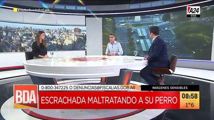 Como entrenar a tu perro sin violencia