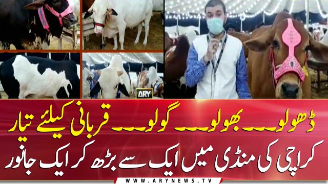 Watch the situation of Asia’s largest Cattle markets