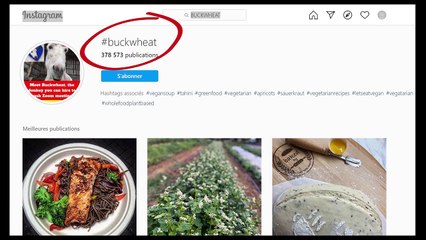 Buckwheat, l’ânesse qui perturbe vos visioconférences