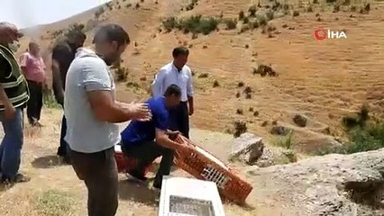 Şırnak'ta 750 kınalı keklik doğaya bırakıldı