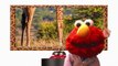 Sesame Street: Elmo World Animals DVD Trailer-2020.