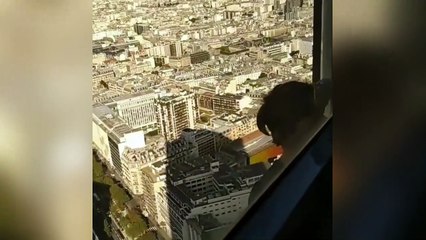 Daredevil climbs 689-foot Paris skyscraper