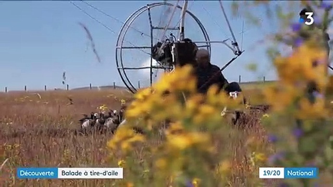 Cantal : quand l’homme guide les oiseaux migrateurs