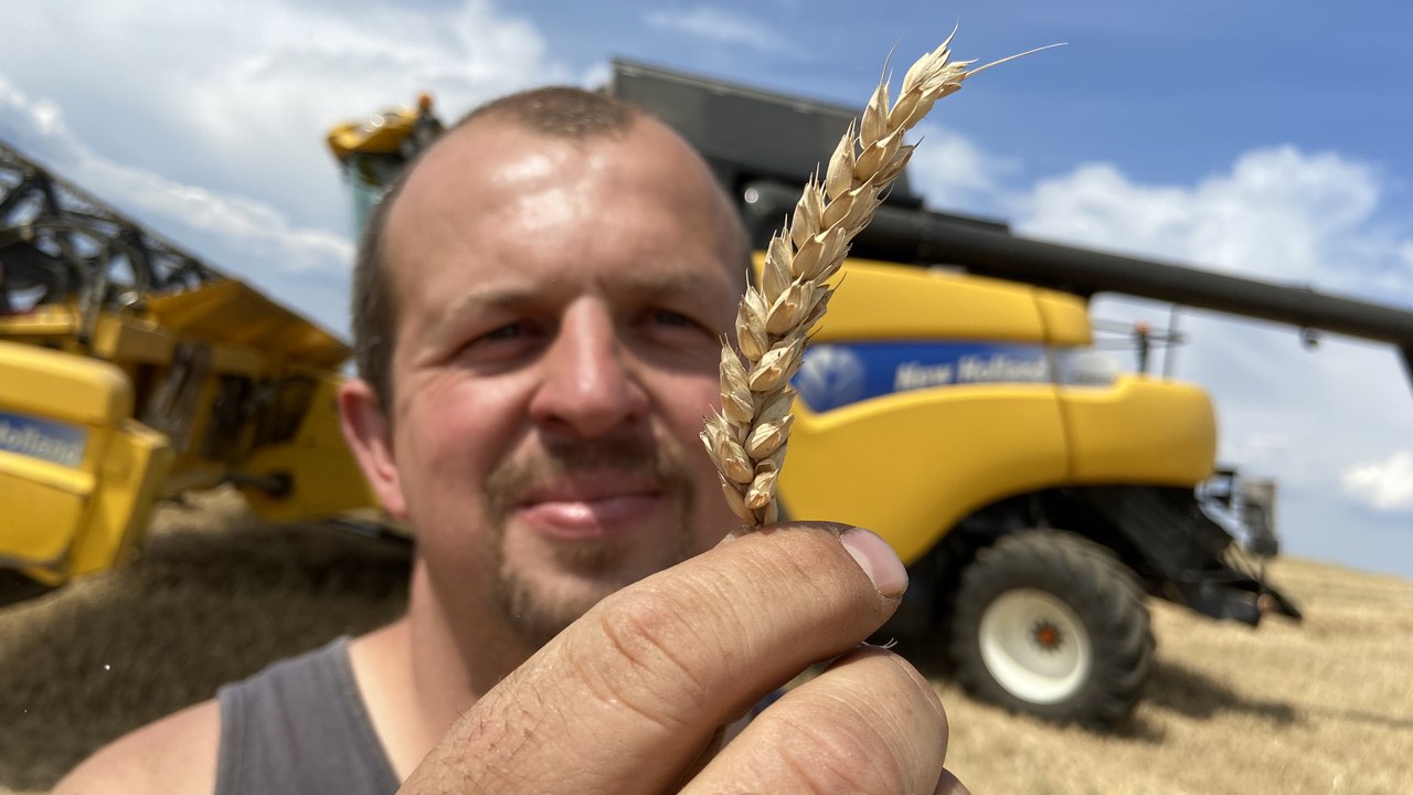 Les moissons de blé démarrent en Moselle