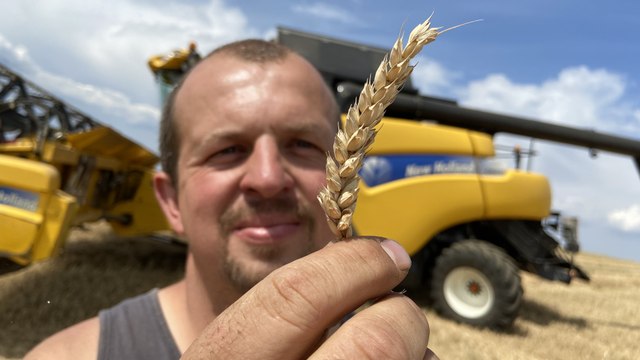 Les moissons de blé démarrent en Moselle
