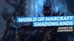 Actualización de contenido de World of Warcraft Shadowlands