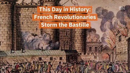 The French Revolutionaries