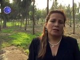 DEVUELVEME EL ANILLO   Estrellita de Amazonas   ÉXITOS DEL MUNDO EIRL