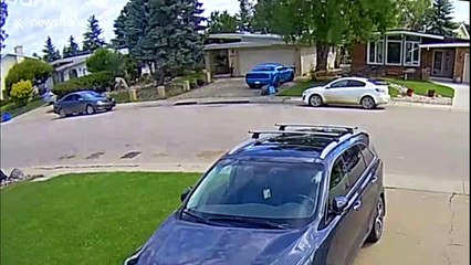 Tree falls on car during wind storm in Canada