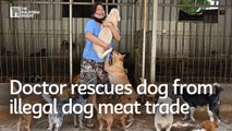 This Indonesian doctor rescues dog from illegal dog meat trade