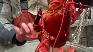 Fishermen Eat Seafood  Fishermen Eat Super Huge Fresh Seafood  Eating Addiction [pzYoFgj2ytQ]