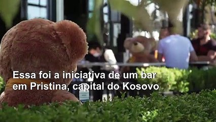 Cercados por ursos