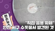 [15초 뉴스] 