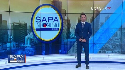 Sapi Kurban Seberat 1,2 Ton Milik Jokowi Tarik Perhatian Warga Polewali Mandar