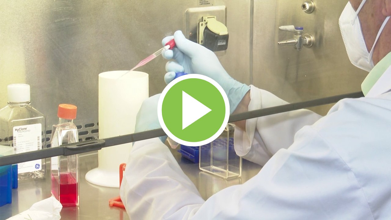 Una de las vacunas contra el coronavirus  podría estar lista para 2021