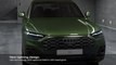 Digital OLED lighting technology in the Audi Q5 Animation