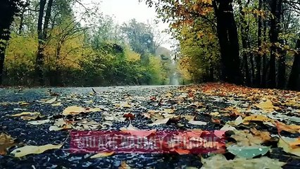 Raining with calm Music, # Focus,# Mediation, #Yoga, #Concentration, # relaxing, #Work Music, #Study