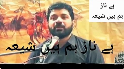 Allam Asif Raza Alvi Ali as waris Dailymotion channel