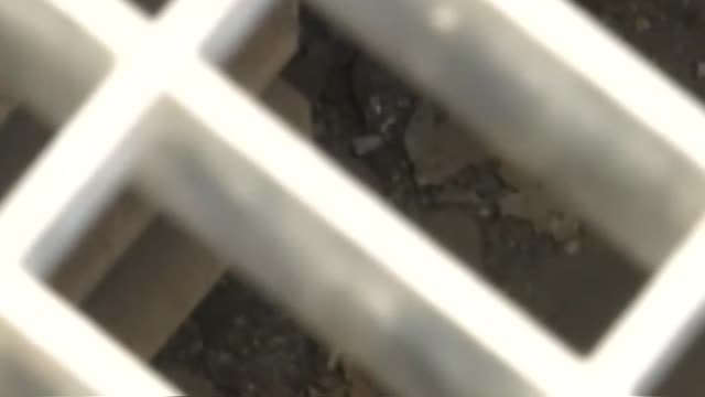 Revuelo para recuperar unos pendientes caídos a en una alcantarilla