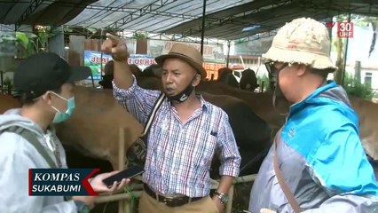 Pedagang Hewan Kurban Penjualannya Meningkat