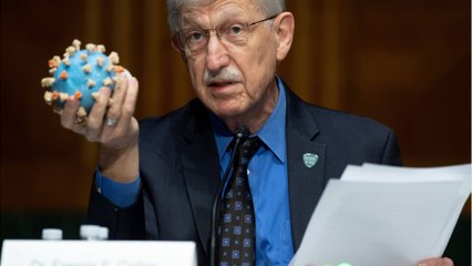 Early Trials For Coronavirus Vaccine Show "Promise"