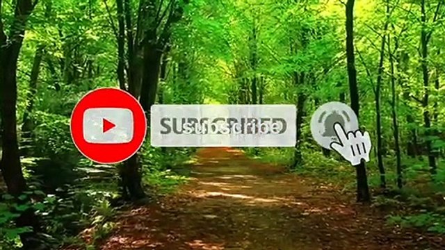 ज्ञान व बुद्धि के विकाष के लिए चमत्कारी शिव जी का मंत्र(यंत्र साधना) Youtube link youtube.com/c/YANTRASADHANA Instagram link instagram.com/sanjaysharma6480/ Facebook link facebook.com/profile.php?id=10000534429568