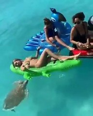 Des tortues de mer empêchent cette femme de profiter du soleil en pleine mer.