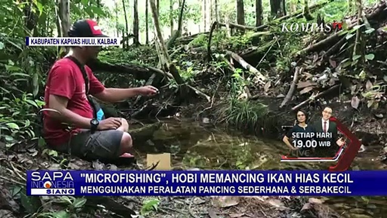 Microfishing, Hobi Baru Memancing Ikan Hias Kecil