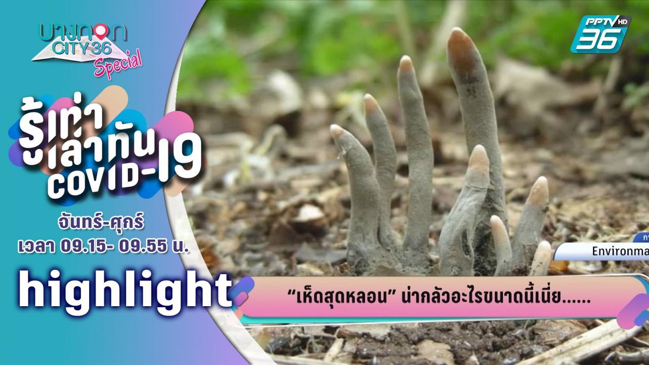 บางกอกซิตี้ เลขที่ 39 | แชร์วอน!! เห็นหลอนคล้ายมือคน | 15 ก.ค.63 