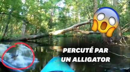 Ce kayakiste a eu la peur de sa vie face à un alligator