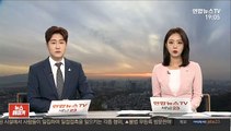 만취 운전자, 도로 한가운데서 쿨쿨…경찰 조사